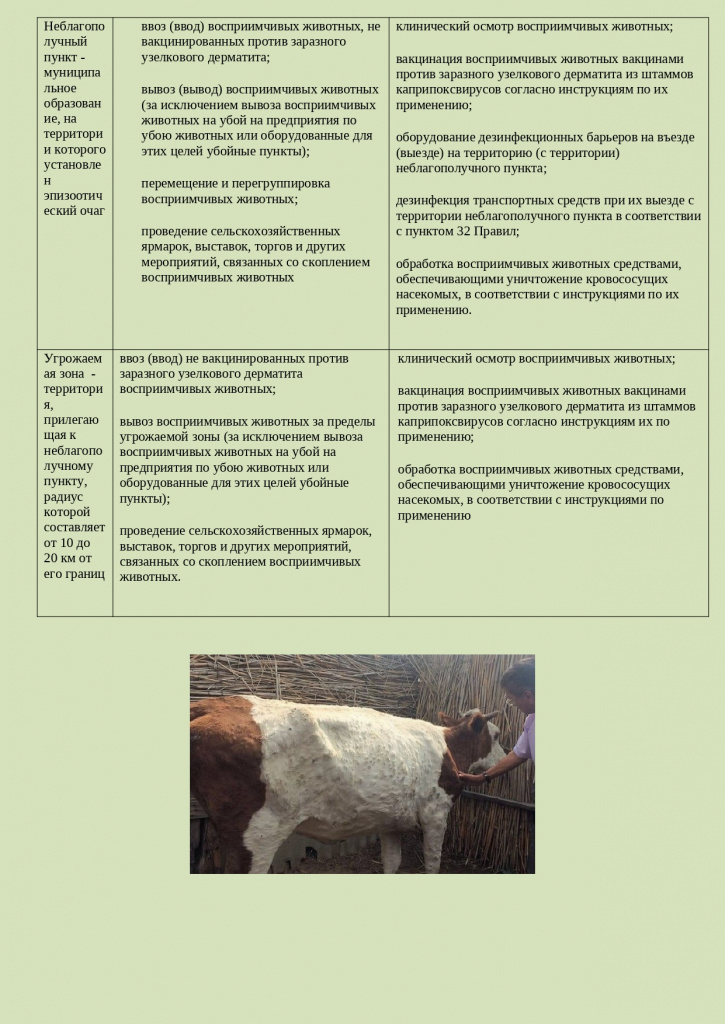 Узелковый дерматит ПАМЯТКА (5)_page-0004.jpg