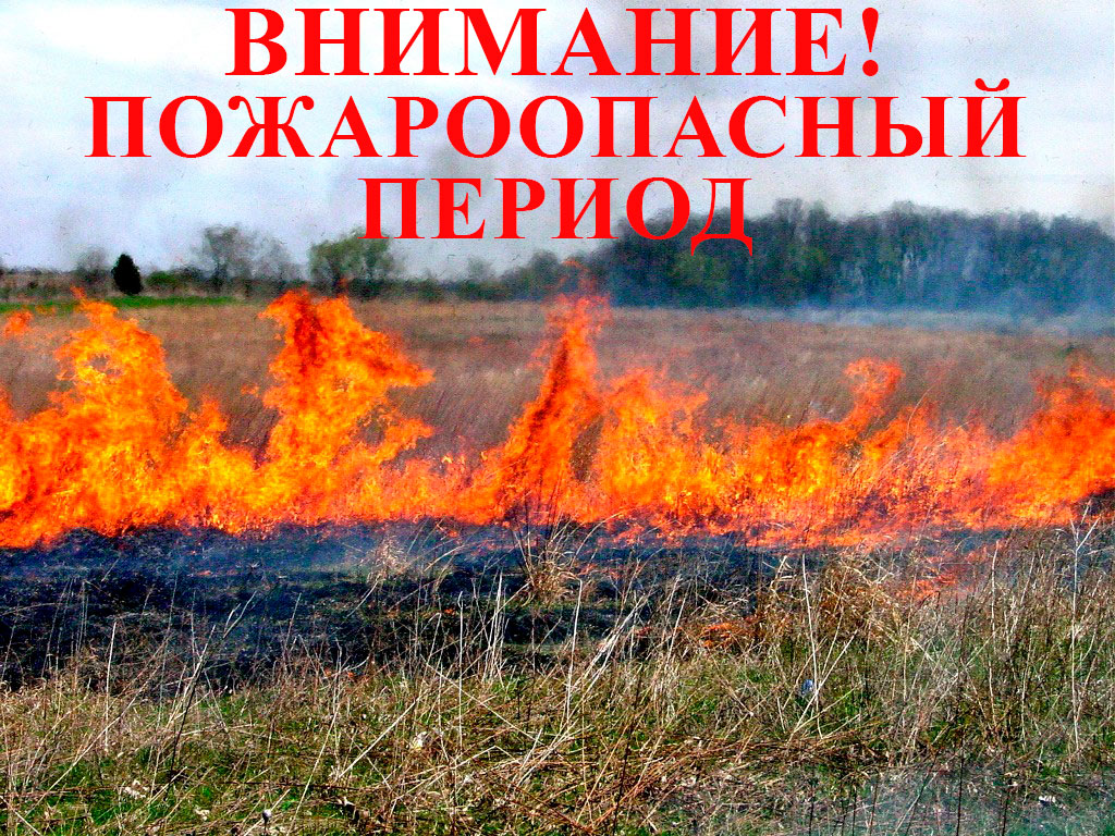 net2lr4p7ydnw0u46jlyl6ym9vk55q86.jpg