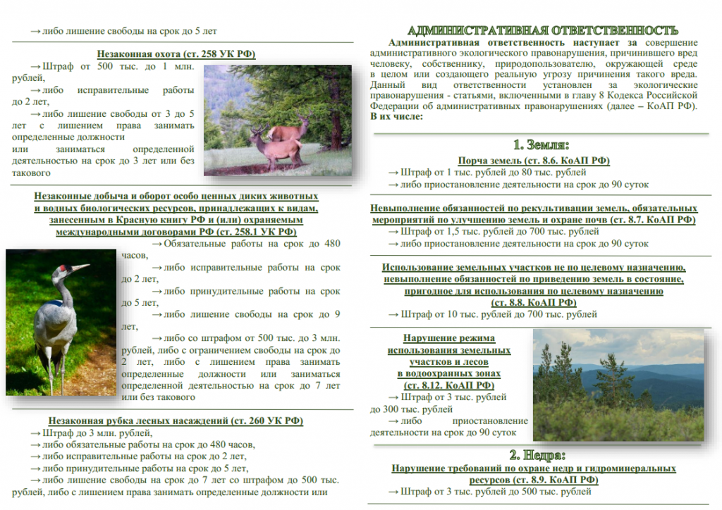 3. буклет (ответст-ть за нарушения об охране окруж.среды)png_Page3.png