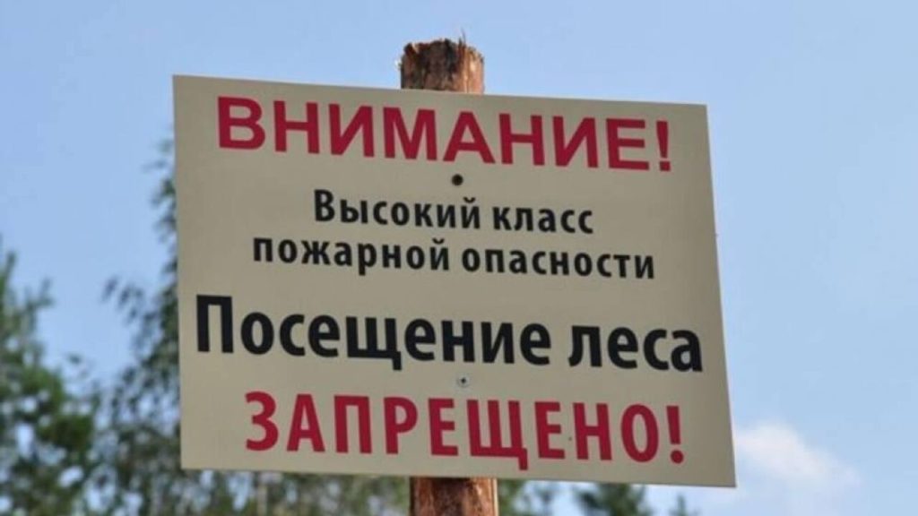 1 (1).jpg