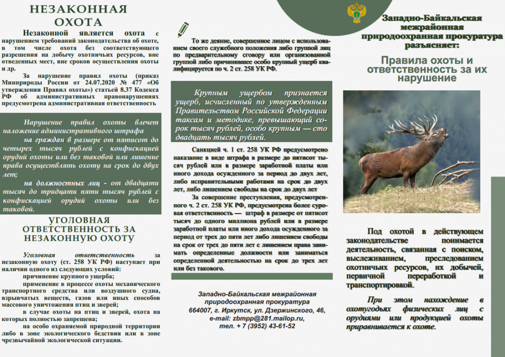 4. охота буклетpng_Page2.png