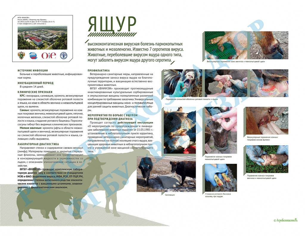 Памятка iac_public_yashur_page-0001.jpg