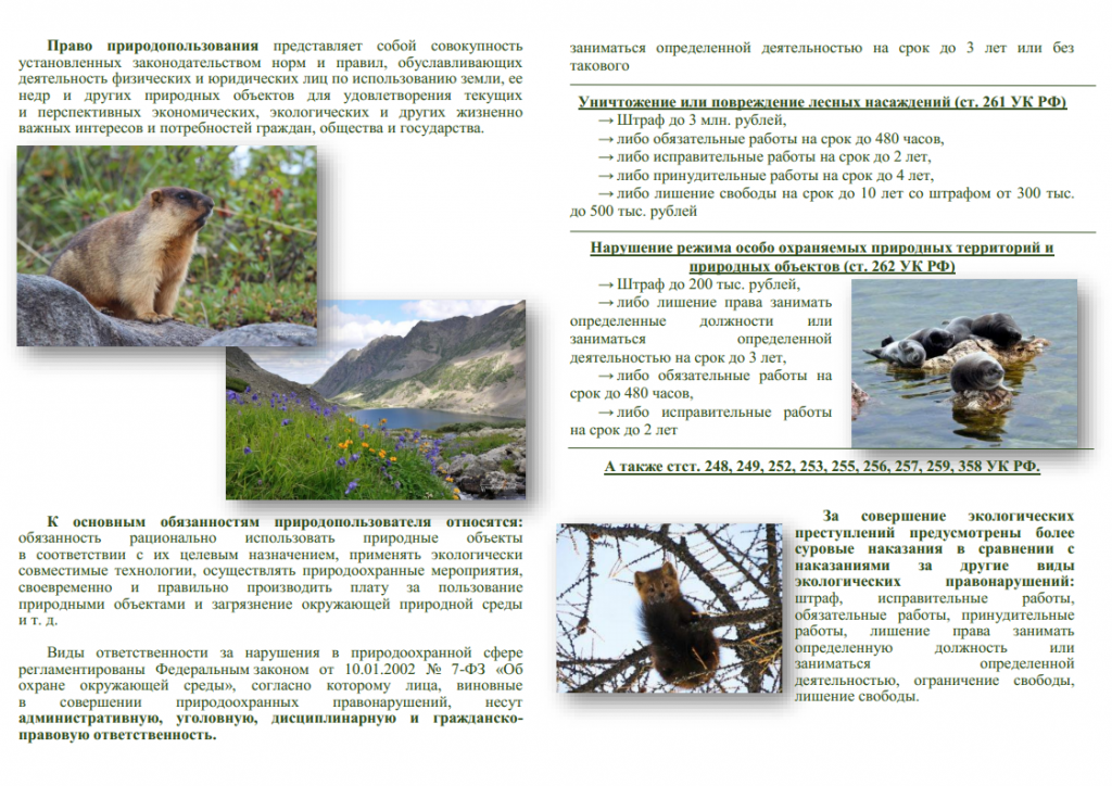 3. буклет (ответст-ть за нарушения об охране окруж.среды)png_Page2.png