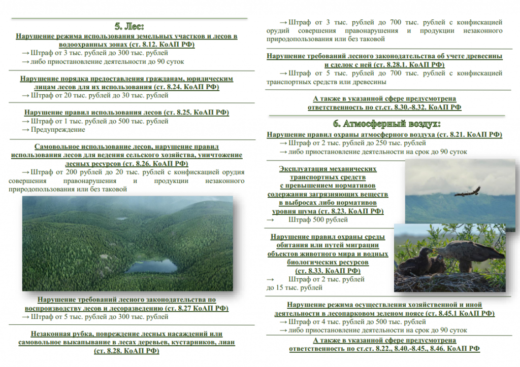 3. буклет (ответст-ть за нарушения об охране окруж.среды)png_Page6.png