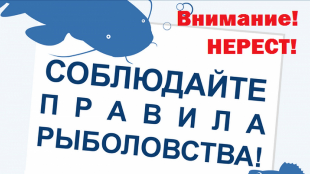 0g988kryrb9hqq6u5p8gem6yfthor477.jpg