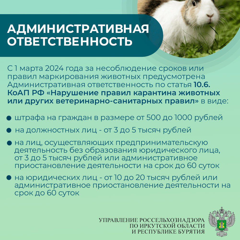 1.6.jpg 1.6.jpg