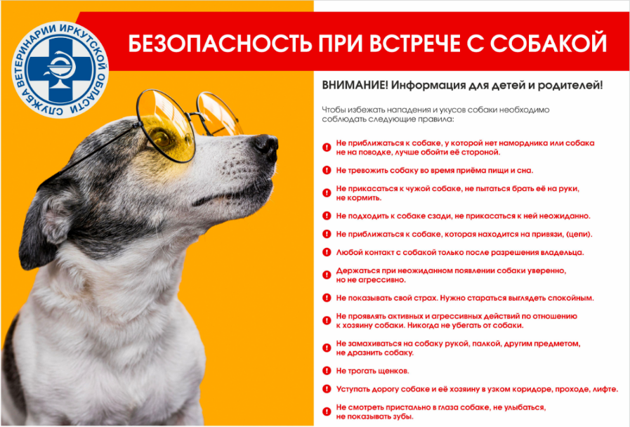 Plakat_Pravila-povedeniya.png