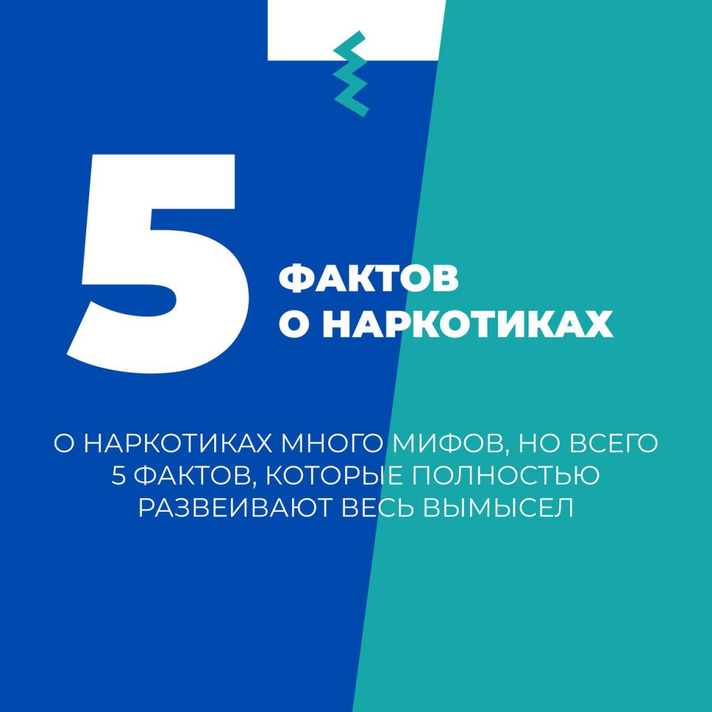 5316859553708185027.jpg
