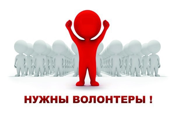 ZIQoVIrOVIU.jpg