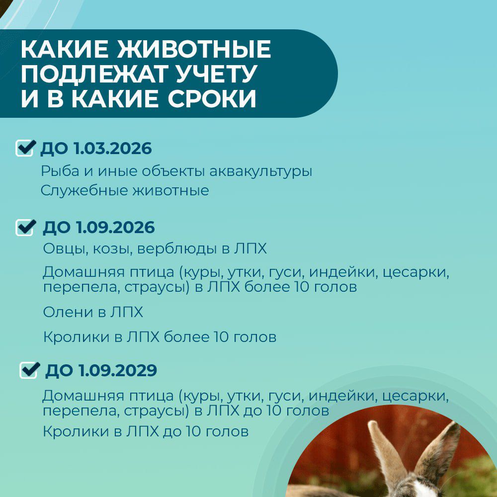 1.4.jpg 1.4.jpg