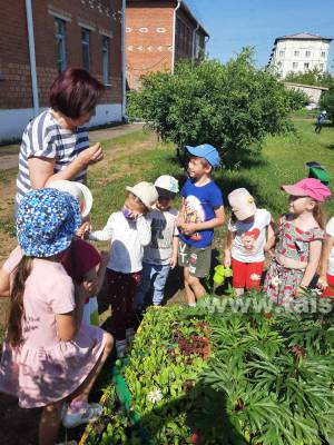 Экологическая тропа  в детском саду «Белочка»