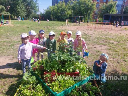 Экологическая тропа  в детском саду «Белочка»
