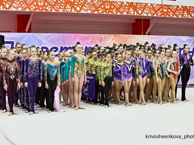 Об участии в Чемпионате и Первенстве по эстетической гимнастике в г. Новосибирске