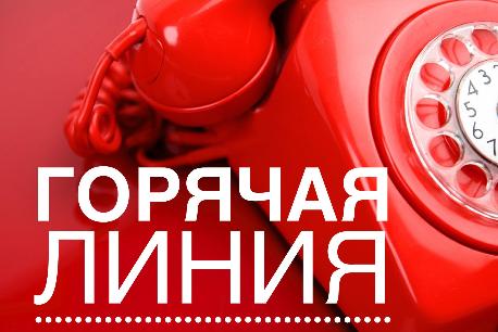 "Горячая линия" по противодействию нелегальной занятости в муниципальном образовании "Тайшетский район"