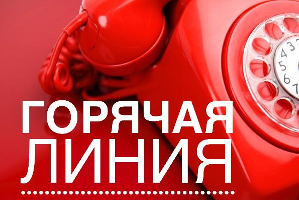 «Горячая линия» по качеству и безопасности овощей и фруктов на территории Тайшетского района
