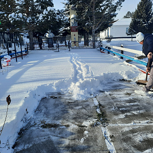 Разные новости Аларского района