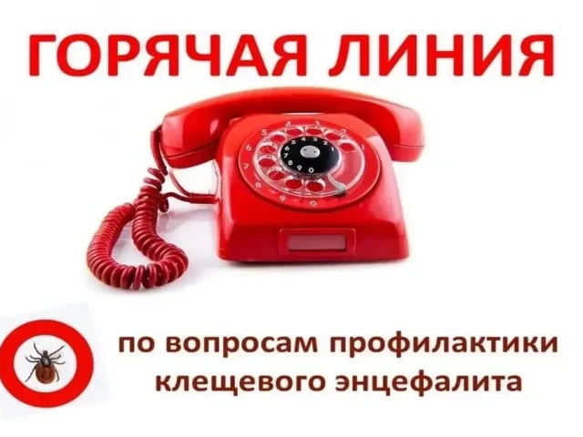 Горячая линия» по профилактике клещевых инфекций 