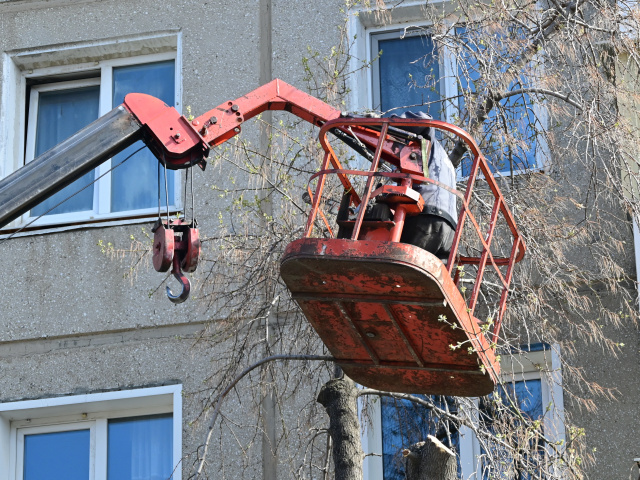 Управляющая компания «ЖК «Надежда» приводила в порядок подведомственную территорию