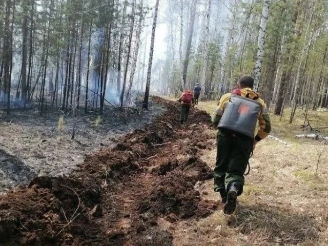 За три выходных дня в лесах Приангарья было ликвидировано 8 пожаров