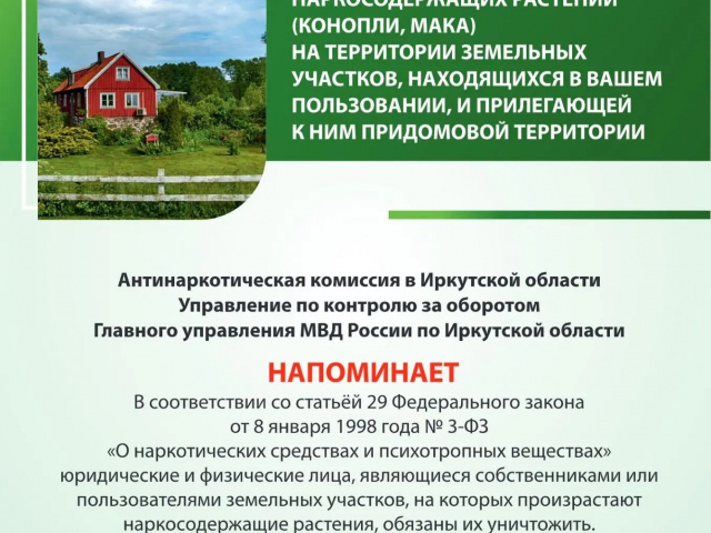 В Тайшете волонтёры  местного отделения «Движения первых» из  школы № 23  присоединились к  профилактической  акции «Уничтожим коноплю!», которая проводится на территории нашего округа совместно с антинаркотической комиссией.
