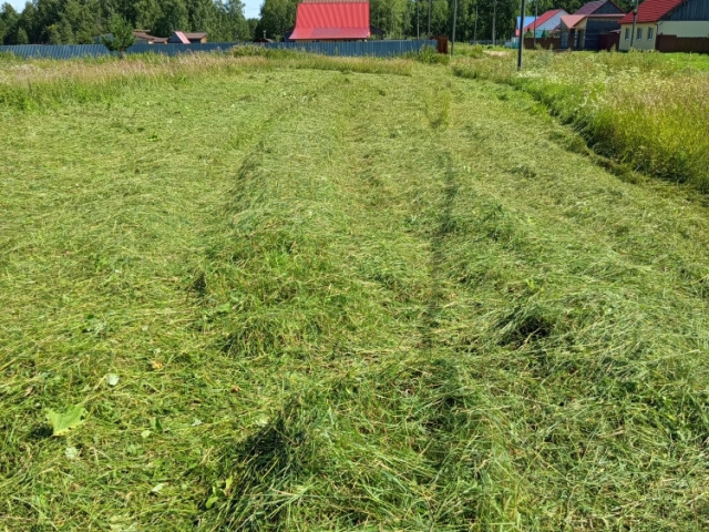 Плановые мероприятия по благоустройству.