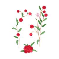 Экстракт плодов клюквы Live Extract