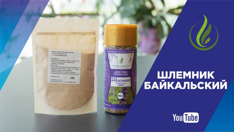 «А вы пробовали?»: узнайте о пользе шлемника байкальского