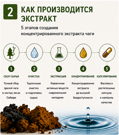 Экстракт чаги «Сибирская чага» в капсулах, 42 кап * 0,4 г., банка акрил
