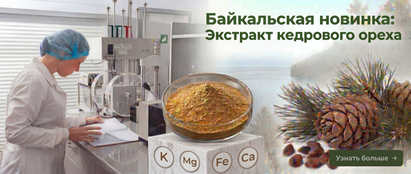 «Травы Байкала»: от традиции к современной науке