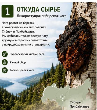 Экстракт чаги «Сибирская чага» в капсулах, 42 кап * 0,4 г., банка акрил