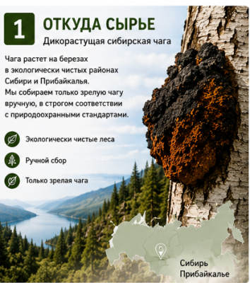 Экстракт чаги «Сибирская чага» в капсулах, 42 кап * 0,4 г., банка акрил