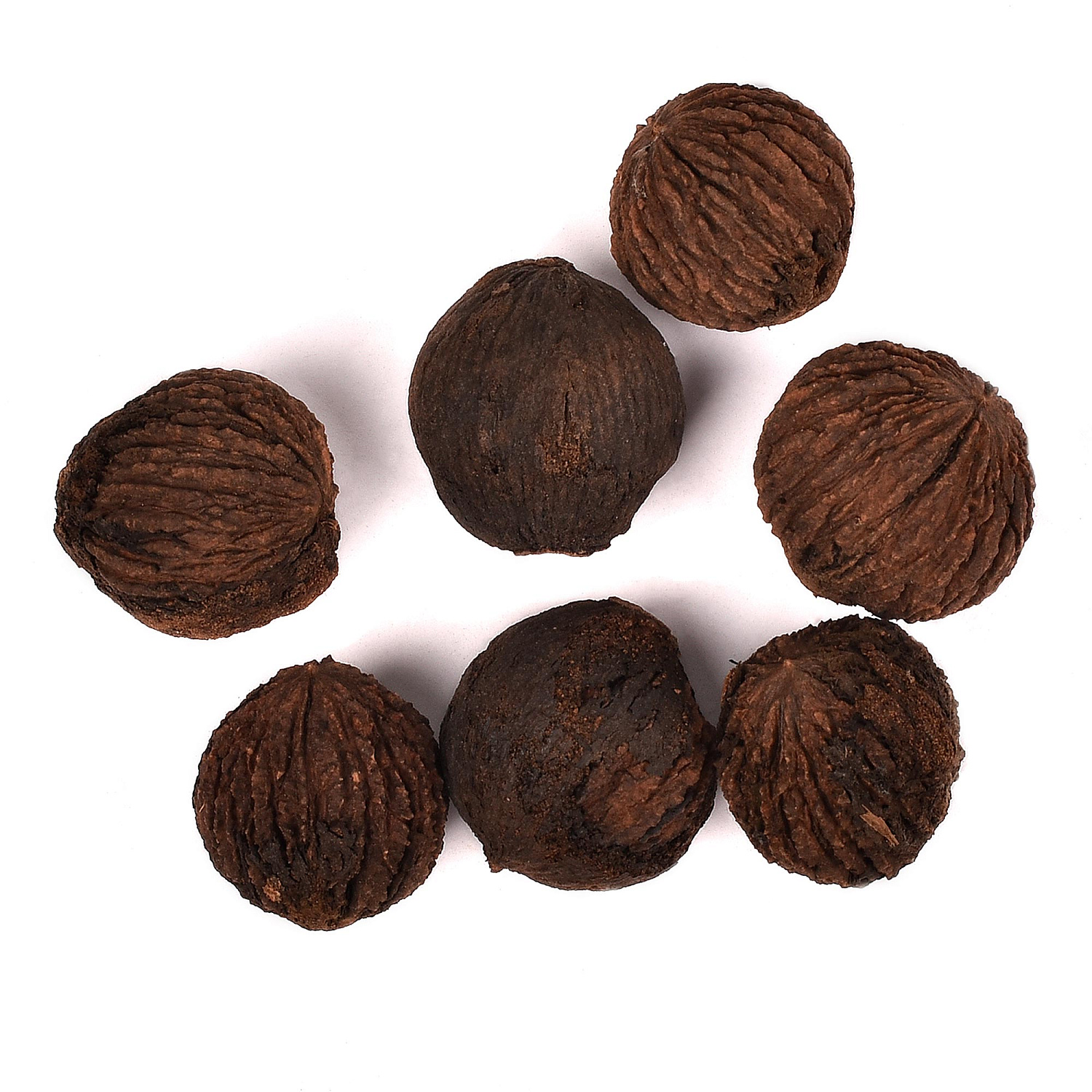 Орех чёрный (Juglans nigra)