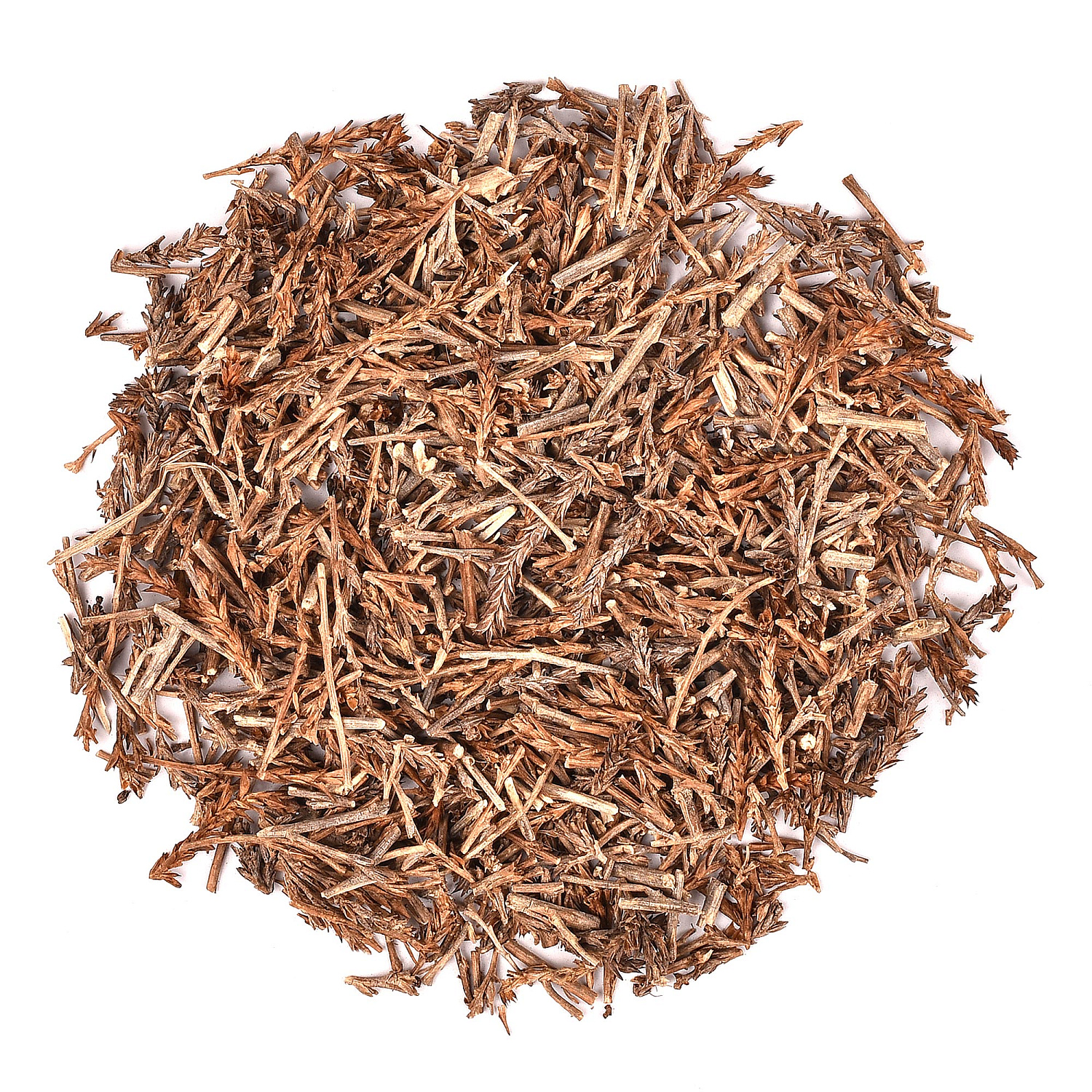 Солянка холмовая (Salsolacollina Pall.)
