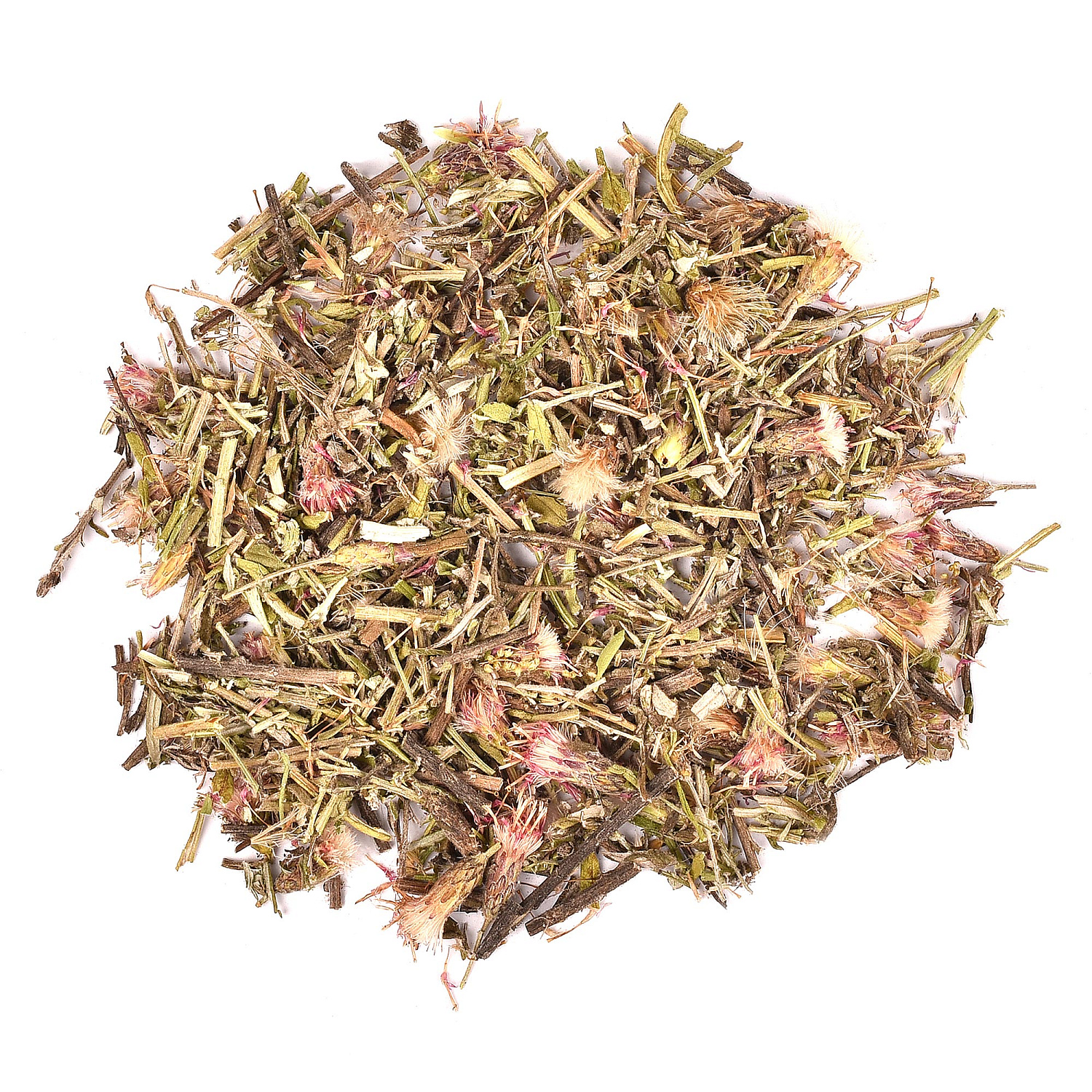 Соссюрея горькая (Saussurea amara (L.) DC)